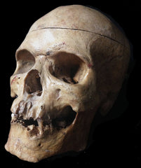 Antique Real Human Skulls