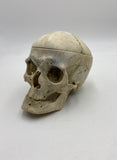 A Real Human Skull #58