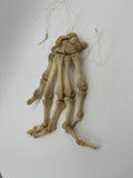 Articulated Human Hand Left High Quality Sting/Cord Articulated Human Hand