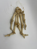 Articulated Human Hand Left High Quality Sting/Cord Articulated Human Hand